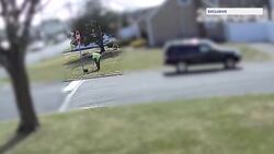 Residents say unknown man with metal detector, shovel dug up parts of their lawn News Clip