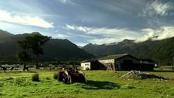 Flash: Dirty Pigs Instructional Video