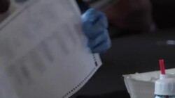 USA: In Georgia  just a few thousand votes seperate Donald Trump Joe Biden. News Clip