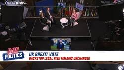 Legal expert says Leavers prefer 'valiant defeat' to May's deal | Raw Politics News Clip