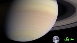 SciShow Talk Show! Peter, Self-healing Skin, & Professor Claw the Emperor Scorpion Instructional Video