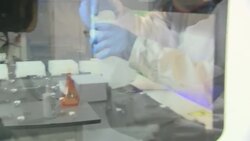 Scientists doing COVID tests in a lab News Clip