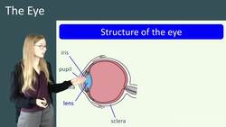 The Structure and Function of the Eye: A Comprehensive Overview Instructional Video