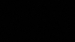 CLEAN : More than 29,000 coronavirus deaths recorded in France: AFP tally News Clip