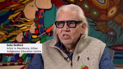 Bald eagle nest reported in Toronto for the first time in 100 years News Clip