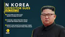 Choi Min-Kyung seeking $37,000 in damages from North Korean leader News Clip