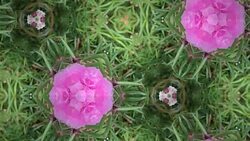 Kaleidoscope background footage for creative design Stock Footage