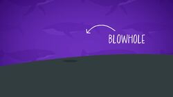I WONDER - What Is A Blowhole? Instructional Video