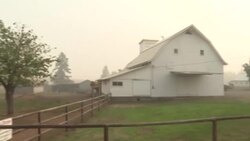 CLEAN : In Oregon, some farmers blame wildfires on poor 'forest management' News Clip