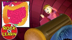 Digestive System Explained for Kids Instructional Video