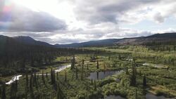 Drone Soars Over Yukon: Saint Elias Mountains and Beyond Instructional Video