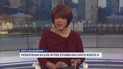 Police: Pedestrian fatally struck by vehicle at Howell intersection News Clip