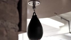 How to Do Different Stances for UFC Training Instructional Video