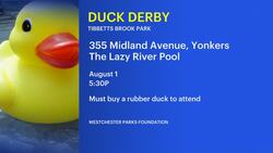Rubber ducks take a plunge in Yonkers for first-ever Duck Derby News Clip