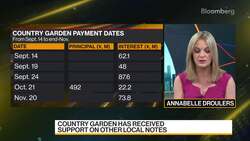 Country Garden Faces Another Bond Vote Deadline in Hours News Clip