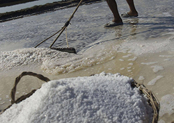 Sea salt Instructional Video