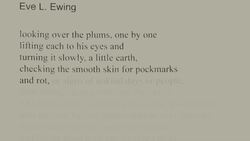 Jonny Sun reads "I saw Emmett Till this week at the grocery store" Instructional Video