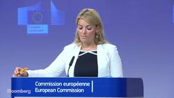 EU Yet to Receive Workable Backstop Proposals: Spokeswoman News Clip