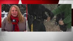 Syrian family attempts border crossing News Clip