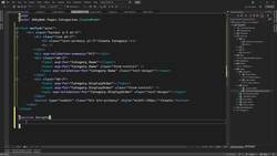 The Complete Guide to ASP.NET Core MVC (.NET 6) - Client-Side Validations Instructional Video