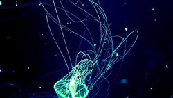 Small fringed jellyfish in the dark of underwater world of deep sea animal Stock Footage