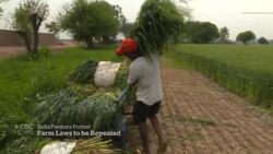 Indian farmers celebrate victory after Modi scraps controversial laws News Clip