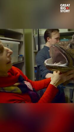 Explore Alaska's unique library of wildlife resources Instructional Video