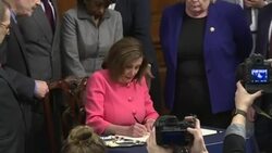 CLEAN : SHORT PROFILE: Nancy Pelosi, US House speaker News Clip