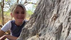 On Safari With Nala - Baboon Spider Instructional Video