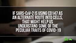SARS-CoV-2 May Have Another Door Into Cells | SciShow News Instructional Video