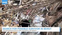 Rescue Teams Search For Possible Survivor In Beirut Blast News Clip