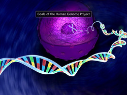 Human Genome Project Instructional Video