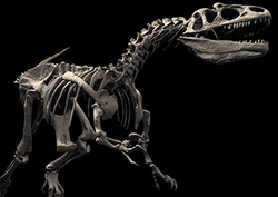 El Gran Al Instructional Video