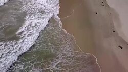 The Beach from Above Stock Footage