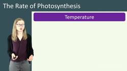 Limiting Factors of Photosynthesis Instructional Video