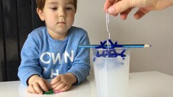 Science Experiment: Borax Crystal Snowflake Instructional Video