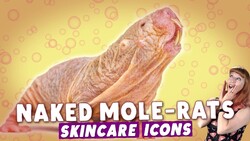 Why Naked Mole-Rats Look Like...That. Instructional Video