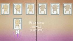 ¿Somos iguales mujeres y hombres? Instructional Video