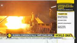 Canada slaps 25% tariff on US goods after Trump’s metal duties News Clip