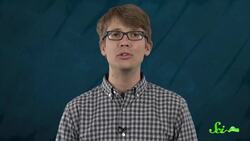 This is NOT What Evolution Looks Like Instructional Video