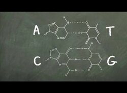 DNA - Chalk Talk Instructional Video