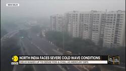 India: Kashmir Shivers As Intense Cold Wave Tightens Grip News Clip