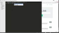 The Full Stack Web Development - Single Job Listing Instructional Video