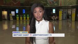 New Yorkers hit the airports for flights to July 4 travel destinations News Clip