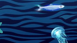 High Five Facts - Bioluminesent Animals Instructional Video