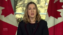 U.S. 'deeply committed' to helping resolve China's detention of Canadians: Ambassador News Clip