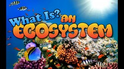 What is an Ecosystem? Instructional Video
