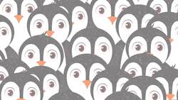 I WONDER - Why Do Penguins Huddle Together? Instructional Video