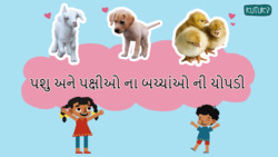 Cute Baby Animals - Little Wildlife Wonders - Gujarati Instructional Video