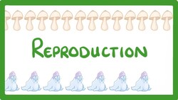 GCSE Biology - Sexual vs Asexual Reproduction - What is Asexual Reproduction? #71 Instructional Video